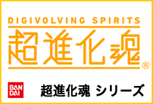 超進化魂シリーズ